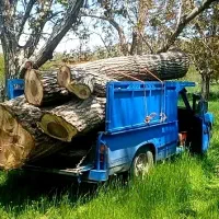 خرید چوب و چوب سقفی بهترین و بالاترین قیمت‌روزنقدی