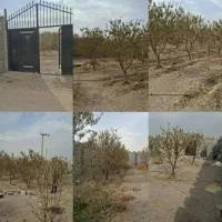 زمین-330-متر-محله-d3