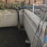 آبیاری قطره و بارانی باغ . فضای سبز . چمن|خدمات باغبانی و درختکاری|مشکیندشت, |دیوار