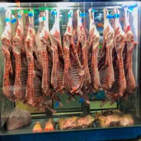 پرسنل قصاب بیخص کن و مرغ تیکه کن|استخدام خدمات فروشگاه و رستوران|بندرعباس, |دیوار