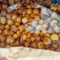 گلسیر|خوردنی و آشامیدنی|لنگرود, |دیوار