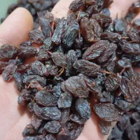 کشمش انگور قرمز کشمش بیدانه