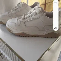 کتانی سایز ۳۹|کیف، کفش، کمربند|رشت, معلولین|دیوار