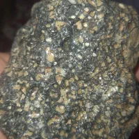 شهاب سنگ به شرط تست کامل ABCشده جمجمه آدم کوتله