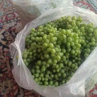 غوره ابگیری