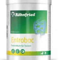 مکمل عروس هلندی گرینچیک کاسکو راهب قناری|لوازم جانبی حیوانات|اصفهان, شاهد|دیوار