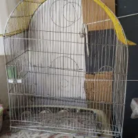 قفس