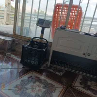 خواهان مغازه ای برای مرغ فروشی