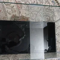 اکواریوم|ماهی|یزد, |دیوار