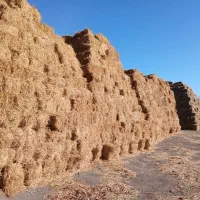 ۱۸۵۰بسته یونجه چین دوم و سوم