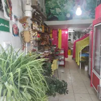 پخش عمده...جزیی.سبزیجات سرخ شده گیلانی وکرج|فعالیت داوطلبانه|کرج, عظیمیه|دیوار