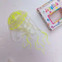 عروس دریایی ،آکواریوم