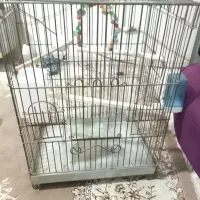 یک عدد قفس‌طوطی‌یاعروس‌هلندی‌یاهرپرنده‌دیگه