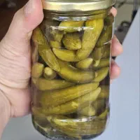 خیارشور بهانه . مهران ۷۰۰ گرمی ویژه|خوردنی و آشامیدنی|تهران, گمرک|دیوار