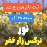 تور نرگس زار خفر ( همایون تور)|تور و چارتر|شیراز, حافظیه|دیوار