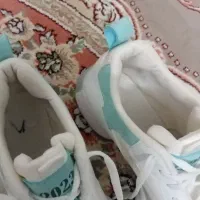 کتانی 38|کیف، کفش، کمربند|قزوین, |دیوار