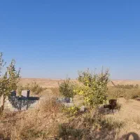 فروش باغ ۴جریب واقع درمنطقه وردشت فتح آباد سمیرم|فروش خانه و ویلا|وردشت, |دیوار