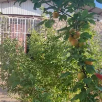 خانه ویلایی۲۴۰متر|فروش خانه و ویلا|محلات, |دیوار