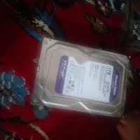 هارد کامپیوتر یک ترابایت بنفش