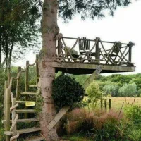 اجرای محوطهسازی و احداث فضای سبز با طراحی حرفهای|خدمات باغبانی و درختکاری|رشت, بلوار گیلان|دیوار