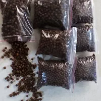 طعمه ماهی،لوفاک/کرم زنده