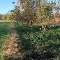 باغچه الوان