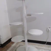 استند گل