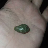 زوعه مار مصور