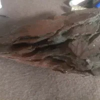 صخره زیبا|ماهی|تالش, هشتپر|دیوار