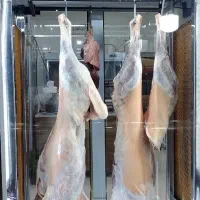 گوشت گوساله و بره|خوردنی و آشامیدنی|بجنورد, |دیوار