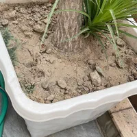 لیندا 53 ساله|گل و گیاه طبیعی|تهران, باشگاه نفت|دیوار