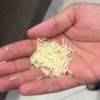 عمده برنج پاکستانی و هندی