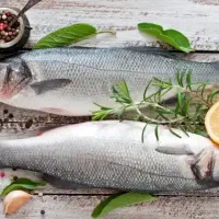 مرغ کار و ماهی کار