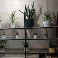 استند پروفیلی گلدان|کتابخانه، شلف، قفسه‌های دیواری|تهران, ائمه اطهار|دیوار