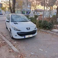 ۲۰۷ مدل ۱۴۰۰ پانوراما بدون رنگ ضربه ۴۶ تاکار