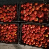 خوردنی و آشامیدنی