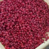 زرشک اصل قائنات تازه و تمیز (موجودی محدود)