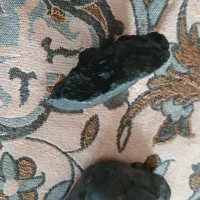 شهاب سنگ|کلکسیون اشیاء عتیقه|زرند, |دیوار