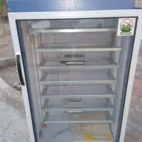 دستگاه جوجه کشی بلدرچین دماوند 588 تایی اوتومات|لوازم جانبی حیوانات|آستارا, |دیوار