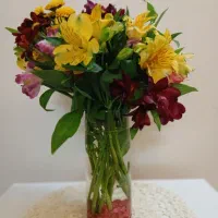 فروش گل کاغذی|گل و گیاه طبیعی|اصفهان, شاه پسند|دیوار