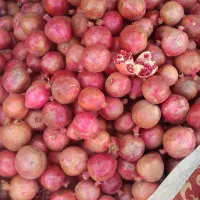 انار فردوس|خوردنی و آشامیدنی|اسلامیه, |دیوار