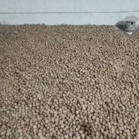گردو درجه یک کهمان الشتر لرستان