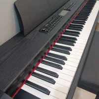 فروش پیانو دیجیتال برند feurich|پیانو، کیبورد، آکاردئون|فردیس, فردیس|دیوار