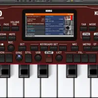 ست ارگ گوشی