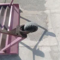 میز میوه فروشی|فروشگاه و مغازه|بهارستان, |دیوار