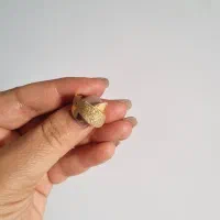 انگشتر با۵درصد