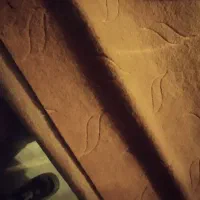 یه سری موکت راه پله با سه پاگرد درحدنو|موکت|کرمانشاه, |دیوار