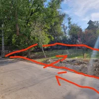 باغ درخت گردو