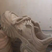 اسپرت کرمی|کیف، کفش، کمربند|سنندج, |دیوار