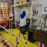 استخدام